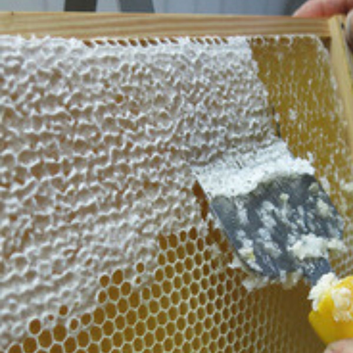 Uncapping Fork in Use — Shallow Pass on Cappings